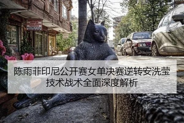chen-yu-fei-yin-ni-gong-kai-sai-nv-dan-jue-sai-ni-zhuan-an-xi-ying-ji-shu-zhan-shu-quan-mian-shen-du-jie-xi-3-457.jpg