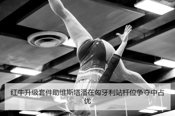 红牛升级套件助维斯塔潘在匈牙利站杆位争夺中占优