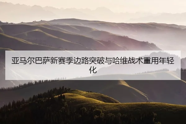 ya-ma-er-ba-sa-xin-sai-ji-bian-lu-tu-po-yu-ha-wei-zhan-shu-zhong-yong-nian-qing-hua-2-689.jpg