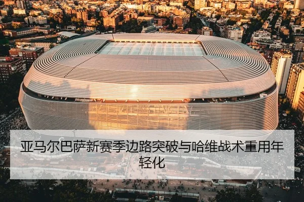 ya-ma-er-ba-sa-xin-sai-ji-bian-lu-tu-po-yu-ha-wei-zhan-shu-zhong-yong-nian-qing-hua-3-334.jpg