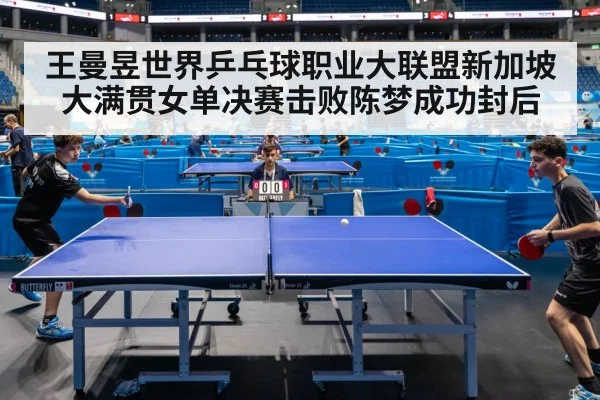 table tennis match