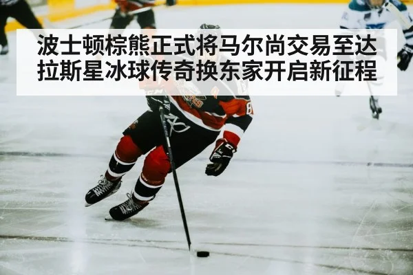 波士顿棕熊正式将马尔尚交易至达拉斯星冰球传奇换东家开启新征程